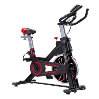 Powertrain RX-600 Exercise Spin Bike - Red