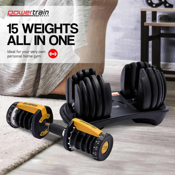 Powertrain 48KG Adjustable Dumbbell Set - Gold with Height-Variable Bench Image 6