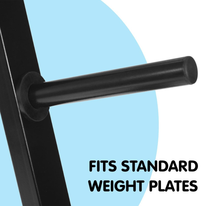 Powertrain A-Frame Weight Plate Storage Rack Heavy Duty Tree Stand for Home Gym Fitness Space Saving Organizer Image 2