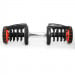 Powertrain 2x 40kg Adjustable Dumbbell Home Gym Weights with Stand Image 6 thumbnail