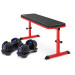 Powertrain 48KG Adjustable Dumbbell Set - Blue with Height-Variable Bench Image 2 thumbnail