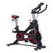 Powertrain RX-600 Exercise Spin Bike - Red thumbnail