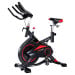 Powertrain RX-900 Exercise Spin Bike Cardio Cycling - Red thumbnail