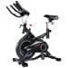 Powertrain RX-900 Exercise Spin Bike Cardio Cycling - Silver thumbnail