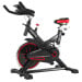 Powertrain RX-200 Exercise Spin Bike Cardio Cycling - Red thumbnail