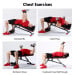 Powertrain Home Gym Bench Adjustable Flat Incline Decline FID Image 14 thumbnail