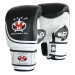 Evo Leather Boxing Punching Gloves Bag Mitts Gym - Black/White thumbnail