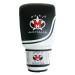 Evo Leather Boxing Punching Gloves Bag Mitts Gym - Black/White Image 2 thumbnail