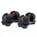 Powertrain 48kg Adjustable Dumbbell Home Gym Weights thumbnail