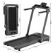 Powertrain V300 3.0HP Foldable 2-in-1 Walking Pad Treadmill with Auto Incline 14kph Under Desk Running Machine Image 3 thumbnail