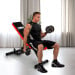 Adjustable Incline Decline Home Gym Bench Image 2 thumbnail