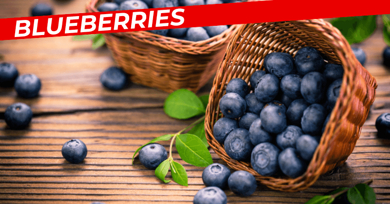 Blueberries Blueberries